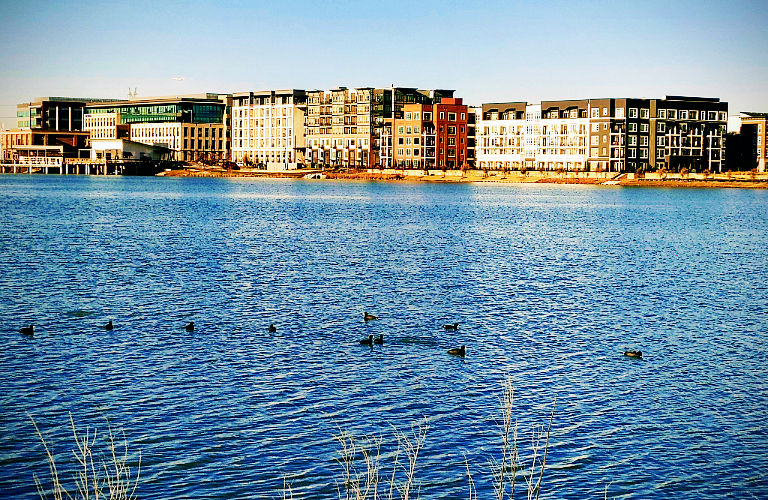 Lake in Irving, TX